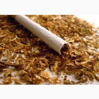 Табак нарезка лапша(0.5-0.8) Берли Вирджиния!табак ферментированный-гильзы машинки трубки