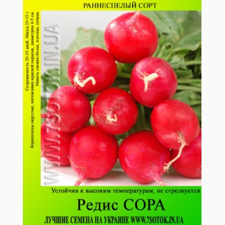 Семена редиса «Сора», высокая всхожесть