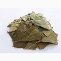 Гинкго билоба (листья) 1 кг