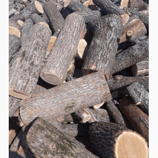Доставка дров по области дуб колотый чурка метровка