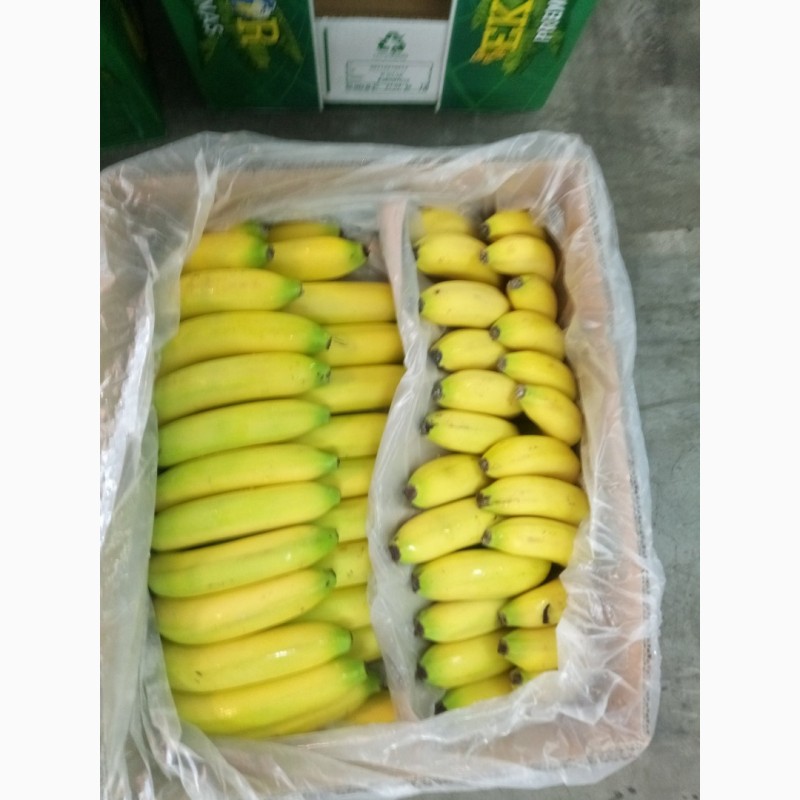 Фото 7. Надаю послуги по дозацій (газації) зеленого банана