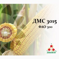 Семена кукурузы ДМС 3015, ФАО 300