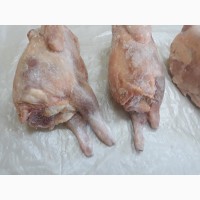 Frozen chicken (hen). In Guinee