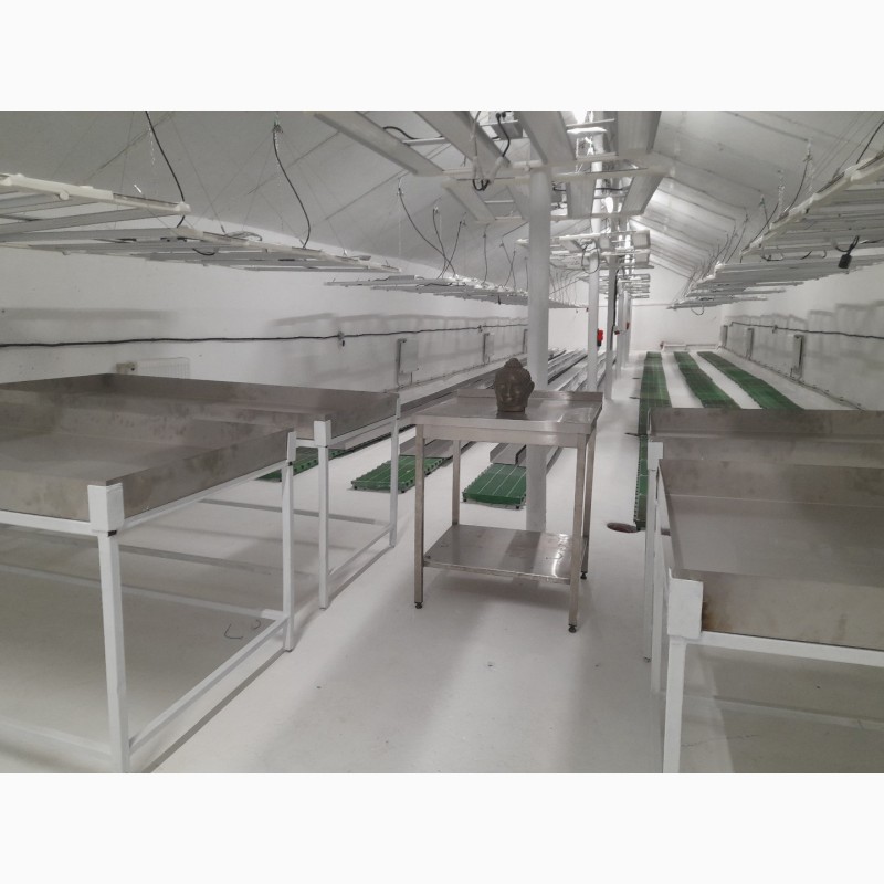 Фото 11. Оренда приміщень склад для вирощування грибів шампінйонів шитакі білі