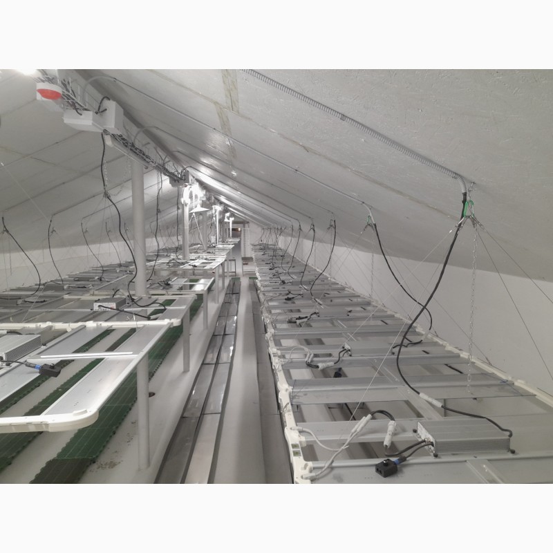 Фото 3. Оренда приміщень склад для вирощування грибів шампінйонів шитакі білі