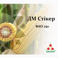 Семена кукурузы ДМ Стикер, ФАО 250