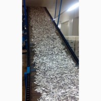 Линия для копчения мелкой рыбы / Лінія для копчення дрібної риби