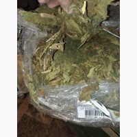 Куплю листок з табака некондицію неспілий зелений
