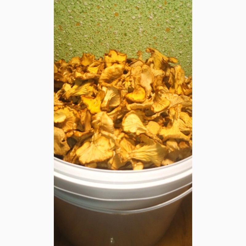 Фото 2. Сушені 35*C лисички гриби з Карпат