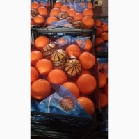 Продам апельсин