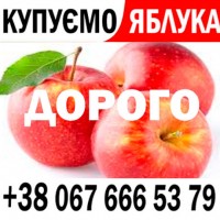 Куплю яблука на переробку, на сік - ціна 13, 80 грн - від 15 т. Готівка та Безгот