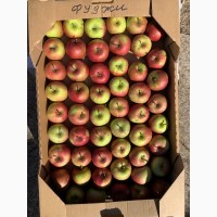 Продам яблоки оптом, Цена от 5- до 7грн
